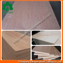 Quality Furniture Plain Plywood with Good Quality